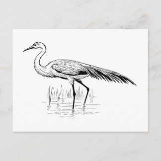 egret postcard