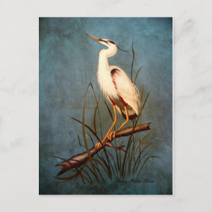 Egret Postcard