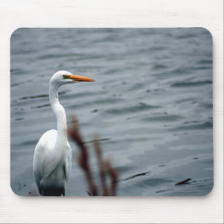 Egret (white heron) standing at waters edge mouse pad