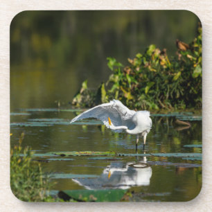 Egret Wing Exam Coaster