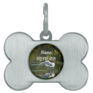 Egret Wing Exam Pet ID Tag