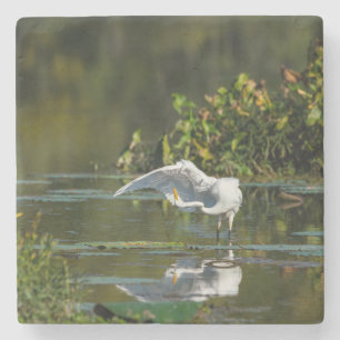 Egret Wing Exam Stone Coaster