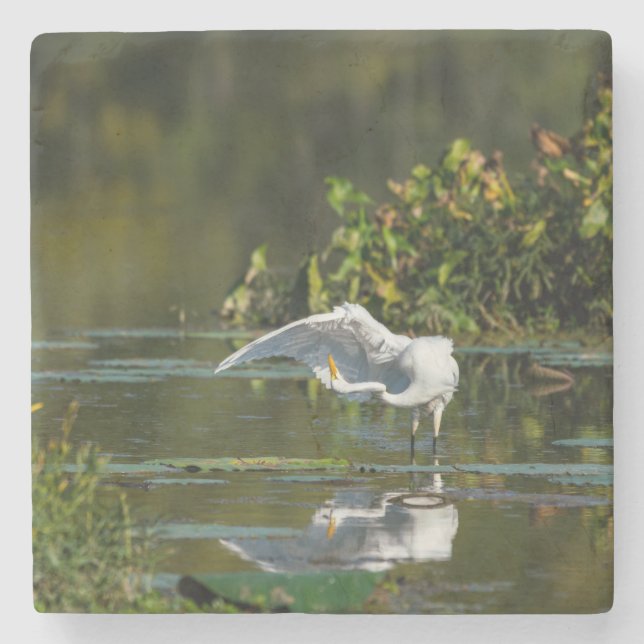 Egret Wing Exam Stone Coaster (Front)