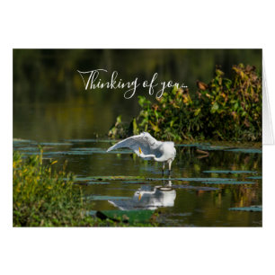 Egret Wing Exam Thinking Of You Card