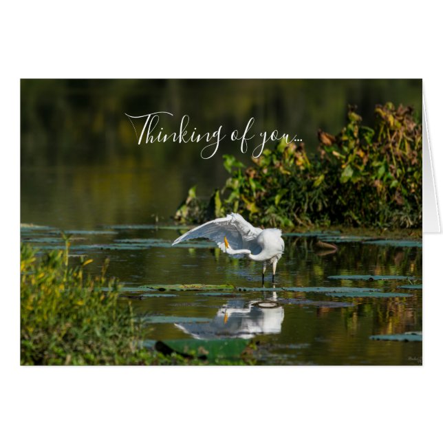 Egret Wing Exam Thinking Of You Card (Front Horizontal)