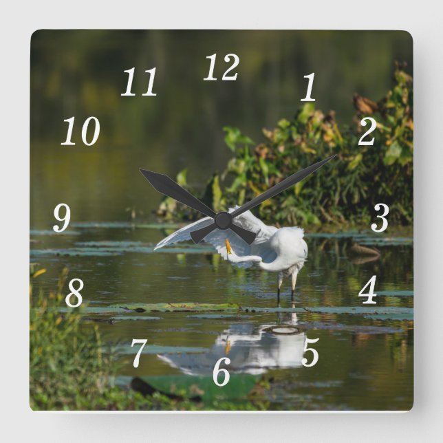Egret Wing Exam Wall Clock (Front)
