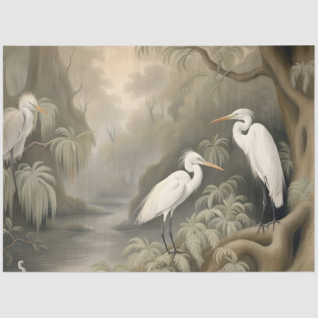 Egrets in the Wild Tissue Paper (Front)