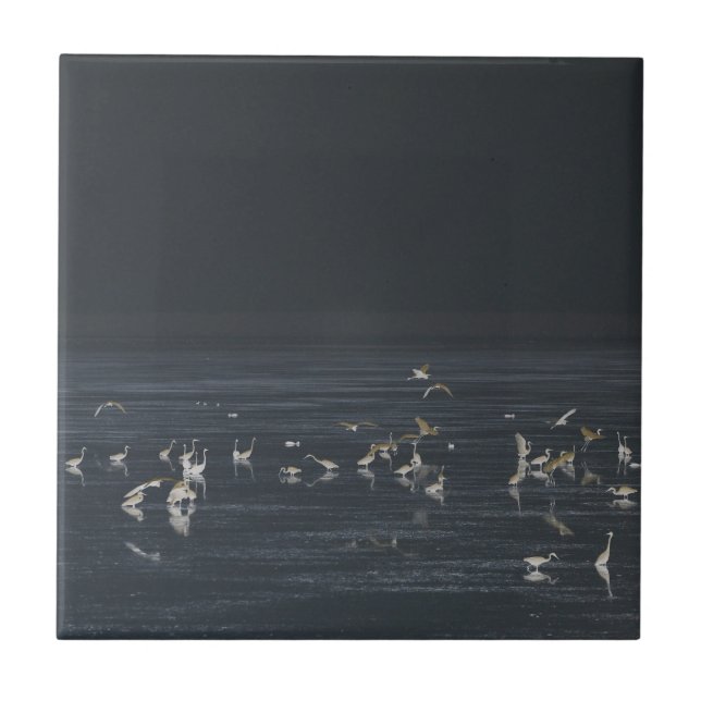 Egrets On The Midnight Blue Ocean Ceramic Tile (Front)