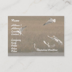 Egrets Wildlife Business Card