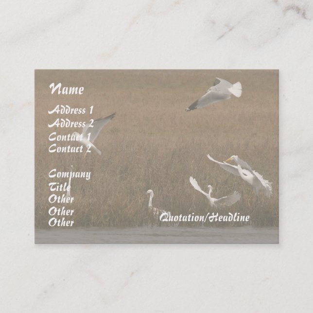 Egrets Wildlife Business Card (Front)