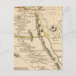 Egype Postcard