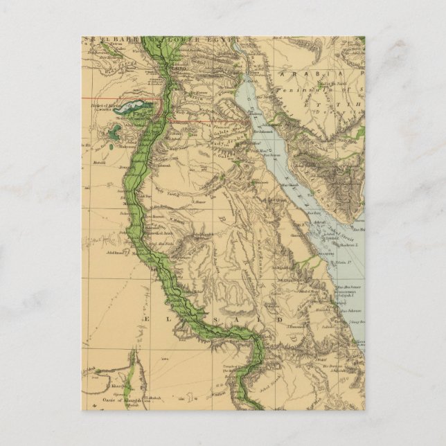 Egypt 5 postcard (Front)