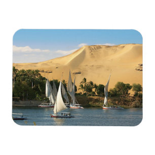 Egypt, Aswan, Nile River, Felucca sailboats, 2 Magnet
