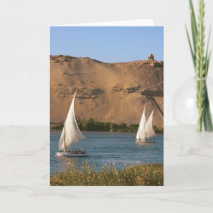 Egypt, Aswan, Nile River, Felucca sailboats, Holiday Card