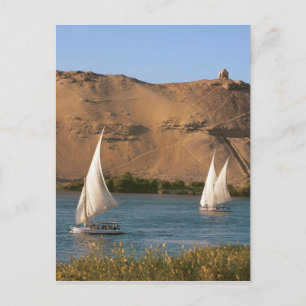 Egypt, Aswan, Nile River, Felucca sailboats, Postcard