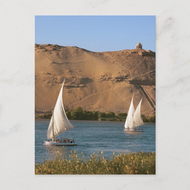 Egypt, Aswan, Nile River, Felucca sailboats, Postcard (Front)