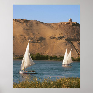 Egypt, Aswan, Nile River, Felucca sailboats, Poster