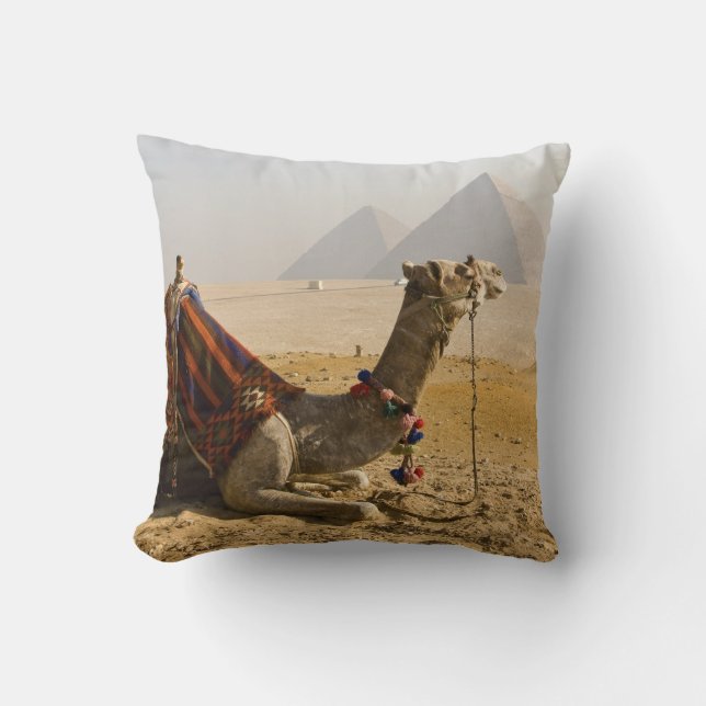 Egypt, Cairo. A lone camel Cushion (Front)