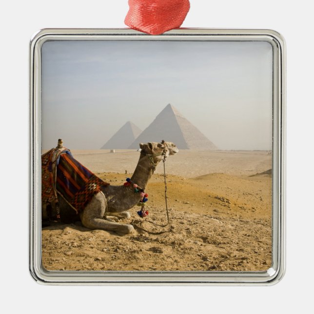 Egypt, Cairo. A lone camel Metal Tree Decoration (Front)