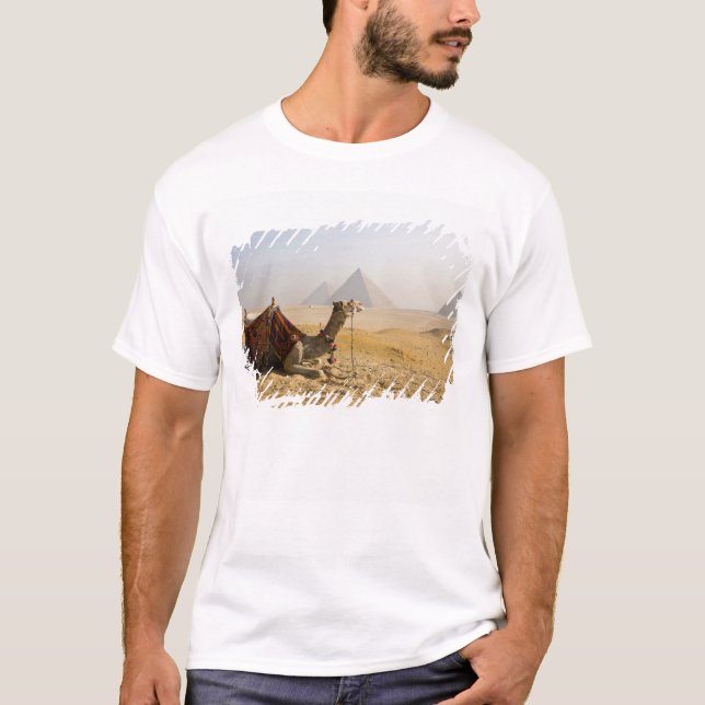 Egypt, Cairo. A lone camel T-Shirt (Front)