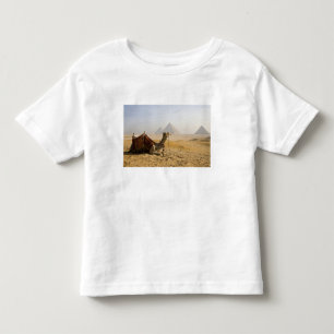 Egypt, Cairo. A lone camel Toddler T-Shirt