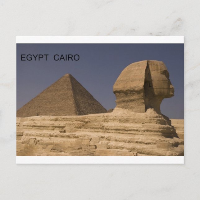 Egypt Cairo Giza Sphinx (St.K) Postcard (Front)