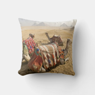 Egypt, Cairo. Resting camels Cushion