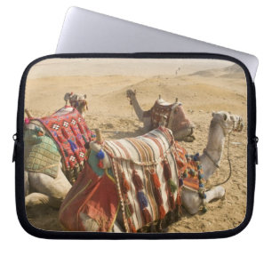 Egypt, Cairo. Resting camels Laptop Sleeve