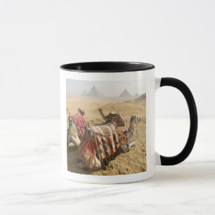 Egypt, Cairo. Resting camels Mug
