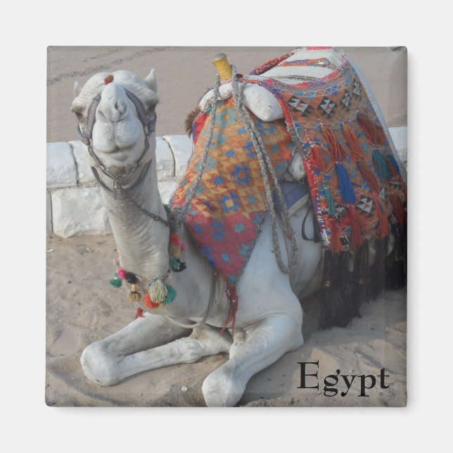 Egypt Camel Magnet (Front)