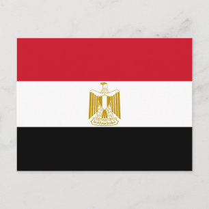 Egypt Flag Postcard