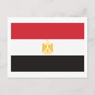 Egypt Flag Postcard