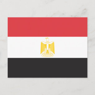 Egypt Flag Postcard