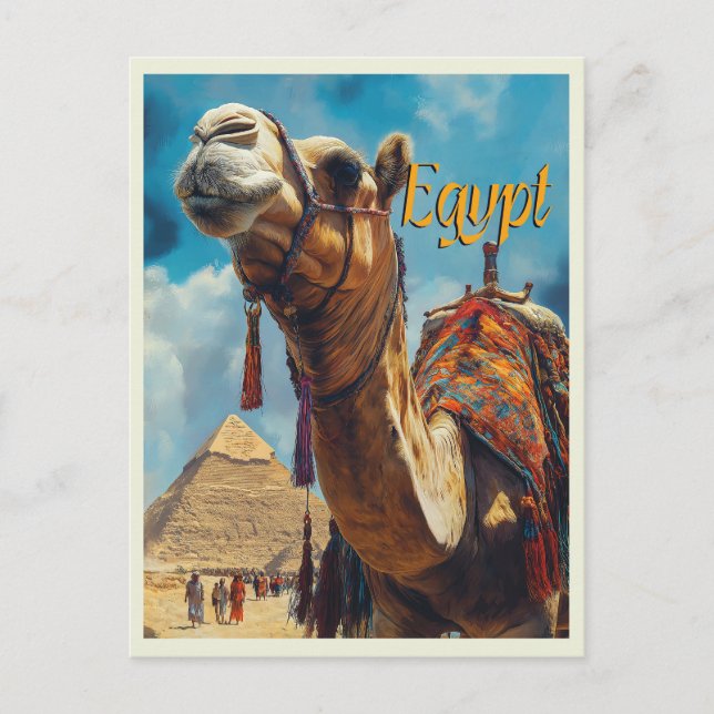 Egypt Giza Pyramids Vintage Travel  Postcard (Front)