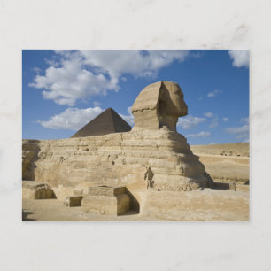 Egypt, Giza. The great Sphynx rises above the 2 Postcard