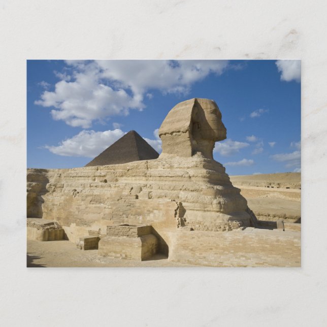 Egypt, Giza. The great Sphynx rises above the 2 Postcard (Front)