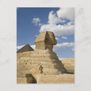 Egypt, Giza. The great Sphynx rises above the Postcard