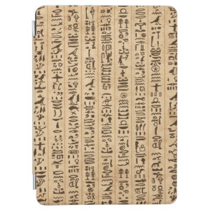 Egypt hieroglyphs, grunge seamless pattern iPad air cover