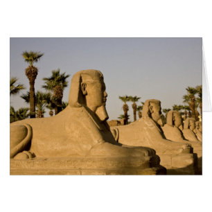 Egypt, Luxor. The Avenue of Sphinxes leads to