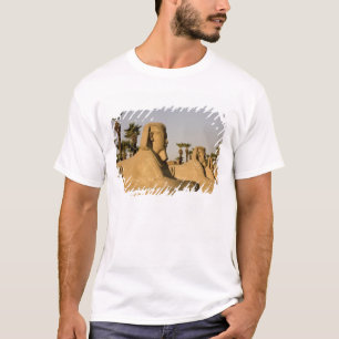 Egypt, Luxor. The Avenue of Sphinxes leads to T-Shirt