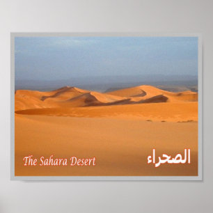 Egypt - Red Sea - Sahara desert - Poster
