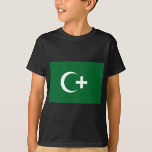 Egypt Revolution Flag (1919) T-Shirt