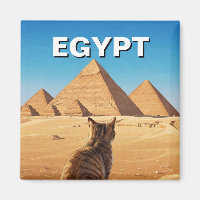 Egypt Sphinx Pyramids of Giza Cat