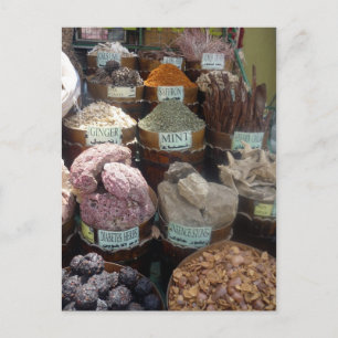 egypt spice postcard