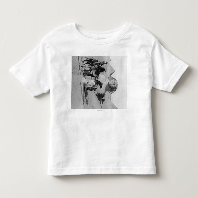 Egypt Tourists Travelling the Nile, Sphix Toddler T-Shirt (Front)
