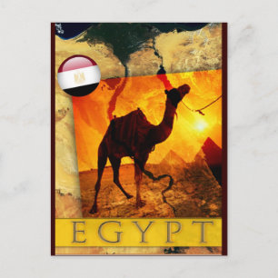 EGYPTIAN CAMEL POSTCARD
