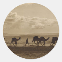 Egyptian camel transport passing over Olivet, 1918