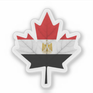 Egyptian Canadian