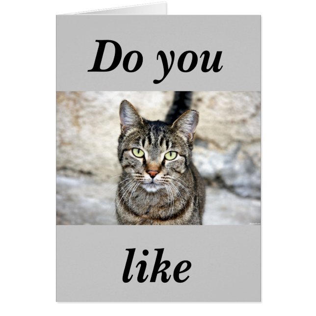 Egyptian Cat (Front)