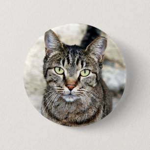 Egyptian Cat 6 Cm Round Badge